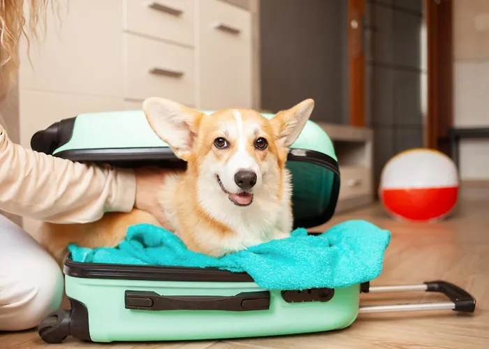 Motel 6-Austin, Tx - Midtown