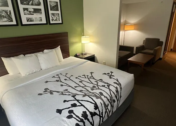 Sleep Inn & Suites Conference Center Eau Claire North Union