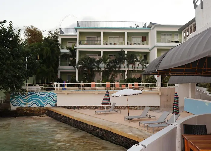 Ocean Palms