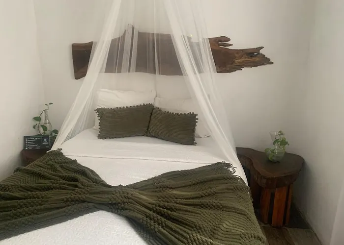 Casa Borush By Ecoplaneta Hotel Cancun
