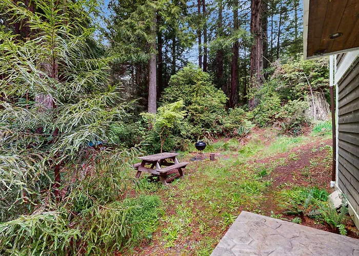Serene Redwood Retreat