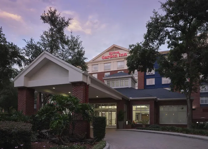 Hilton Garden Inn Tampa East Brandon Mango