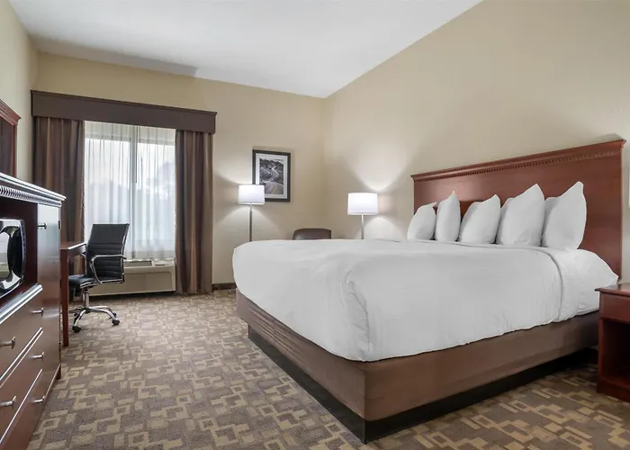 Best Western Opp Inn