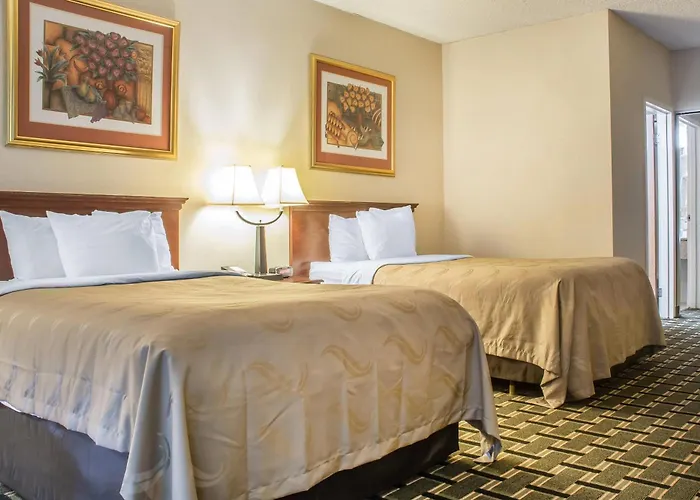Quality Inn & Suites Palm Island Indoor Waterpark Batavia