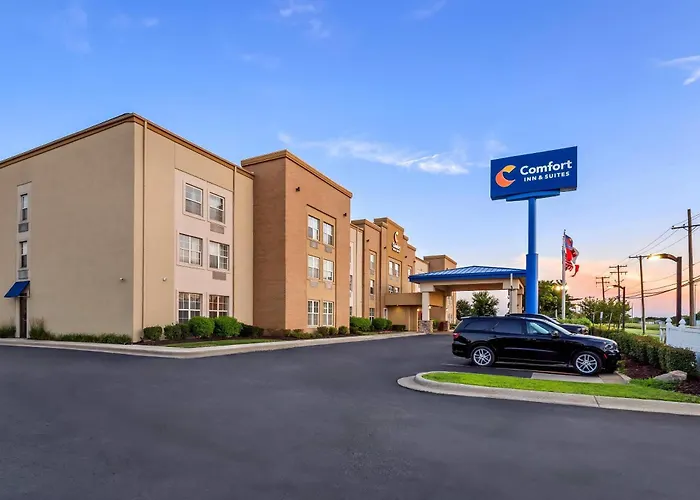 Comfort Inn & Suites Allen Park - Dearborn