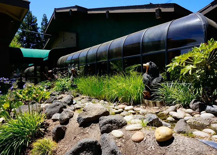 Best Western Plus Forest Park Inn Gilroy