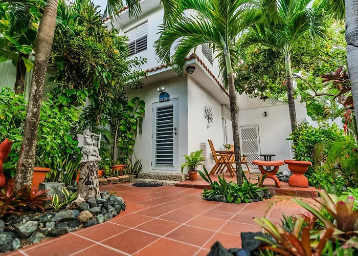 Coconut Palms Inn Rincon