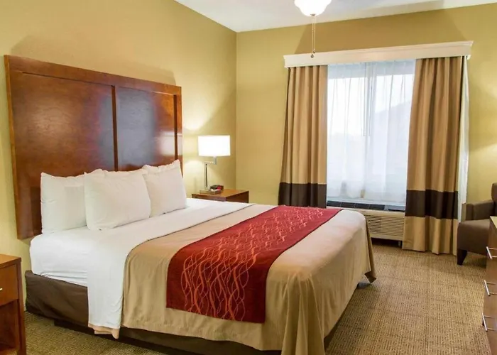 Comfort Inn Dfw Airport North Grapevine