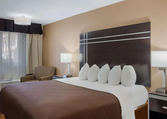 Best Western Nursanickel Hotel Dalhart