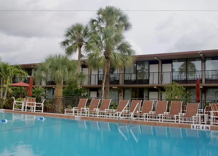 Magic Tree Resort Four Corners
