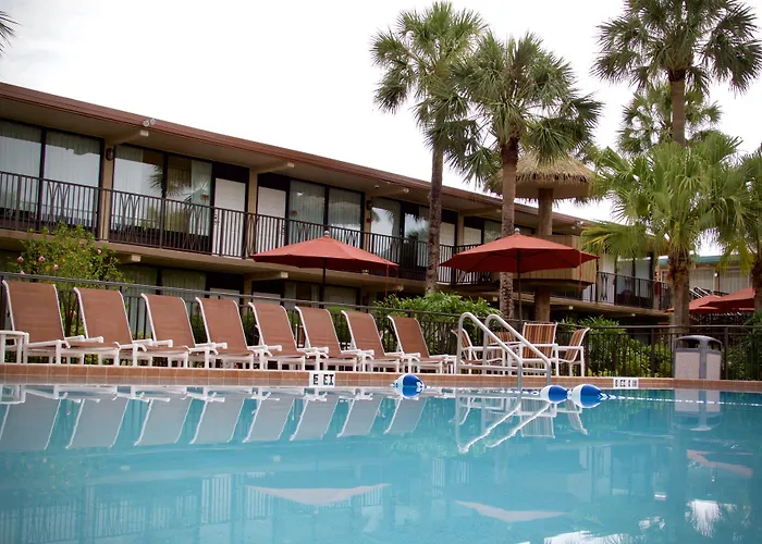 Magic Tree Resort Four Corners