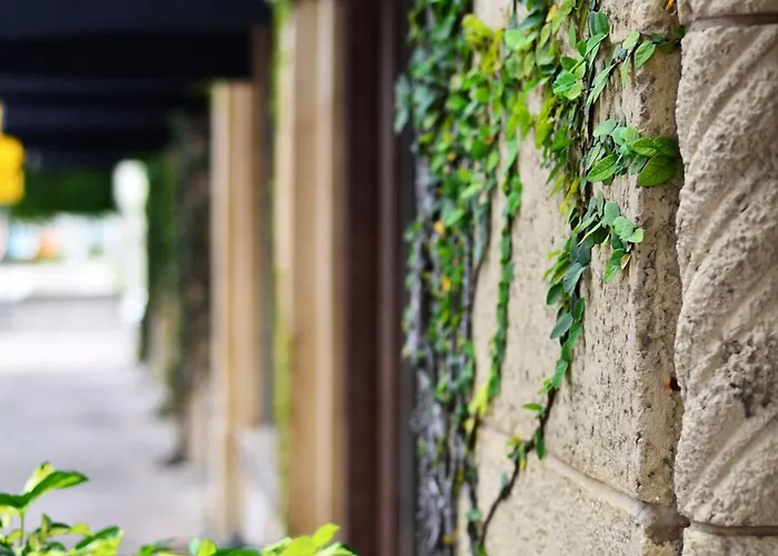 Hotel St. Michel Coral Gables