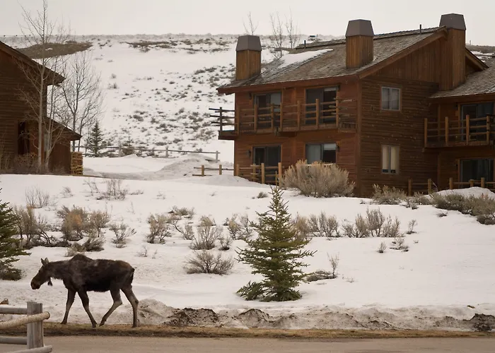 Spring Creek Ranch Hotel Jackson