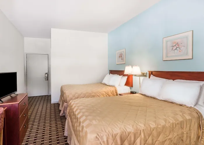 Super 8 By Wyndham Knoxville Downtown Area