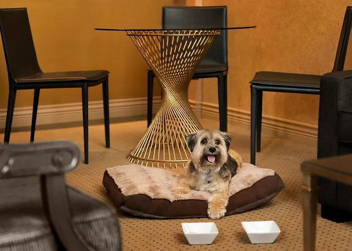 Hotel Le Soleil By Executive Hotels Vancouver