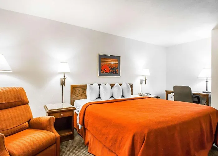 Quality Inn & Suites North
