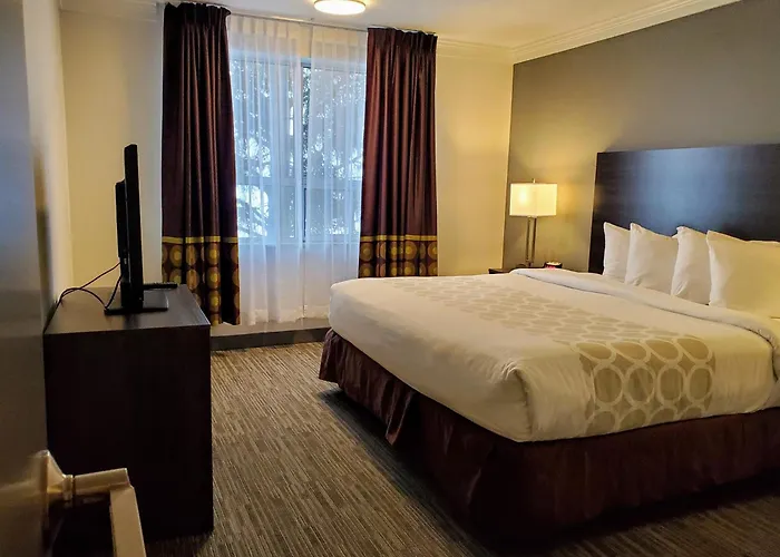 Super 8 By Wyndham Macleod Trail Calgary Hotel