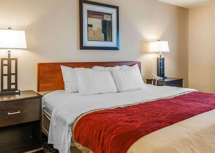 Comfort Inn Avon-Indianapolis West