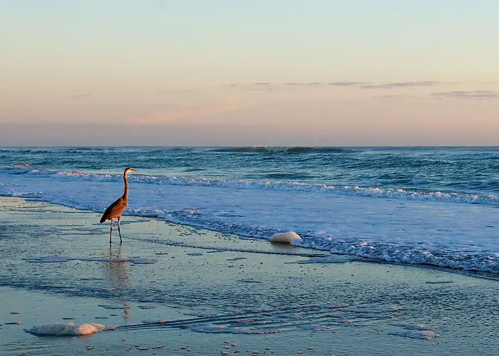 Club Sea Oats By Capital Vacations Motel Daytona Beach Shores