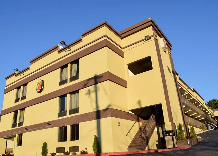 Super 8 By Wyndham Raleigh Downtown Motel