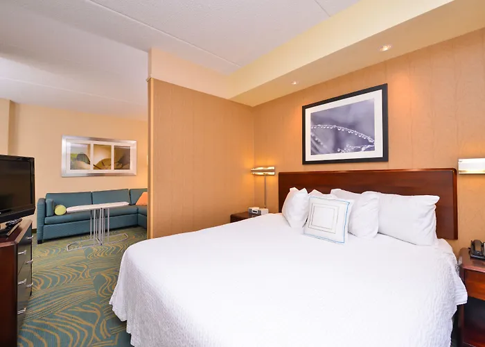 Springhill Suites Arundel Mills BWI Airport Hanover