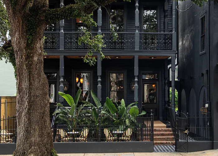 The Prytania Oaks