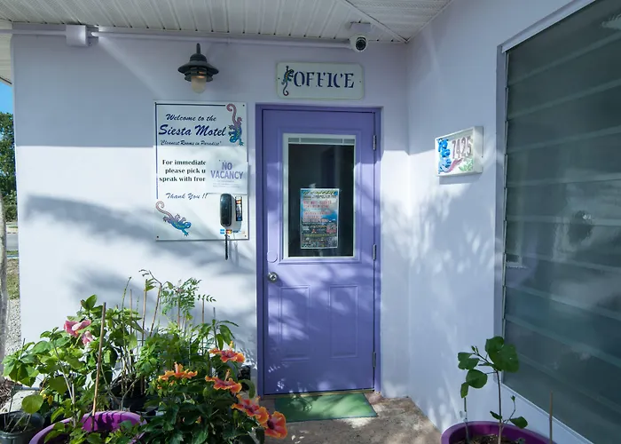 Siesta Motel