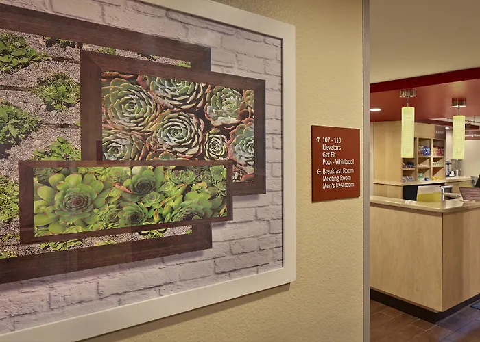 Towneplace Suites By Marriott Albany Downtown/Medical Center