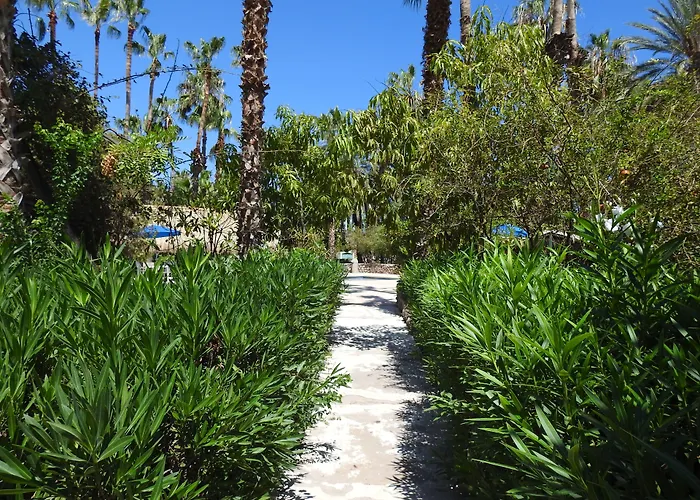 Hotel Oasis Loreto 