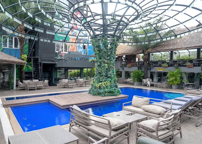 The Blowfish Hotel