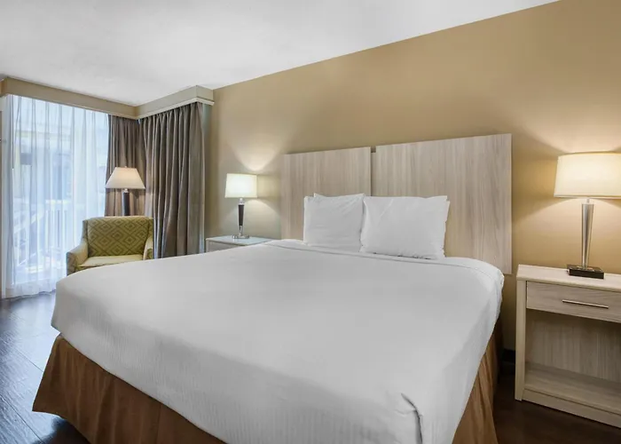 Best Western Battlefield Inn-Manassas