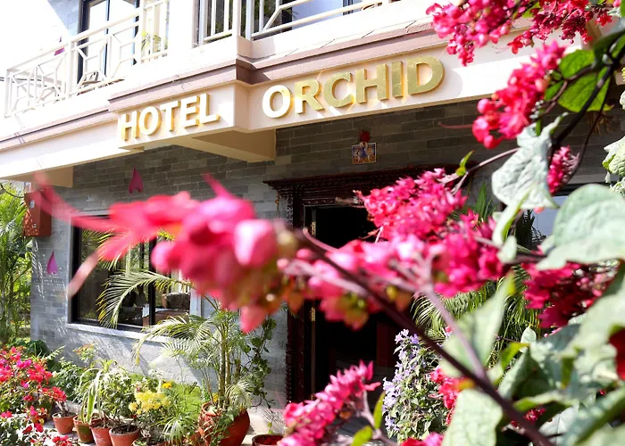 Hotel Orchid