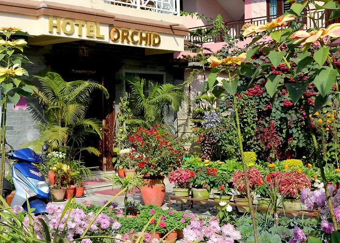 Hotel Orchid