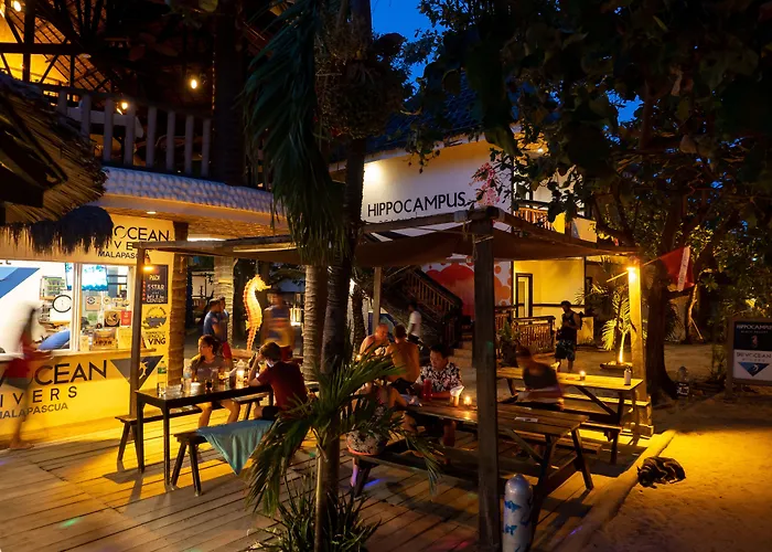 Hippocampus Beach Resort Logon