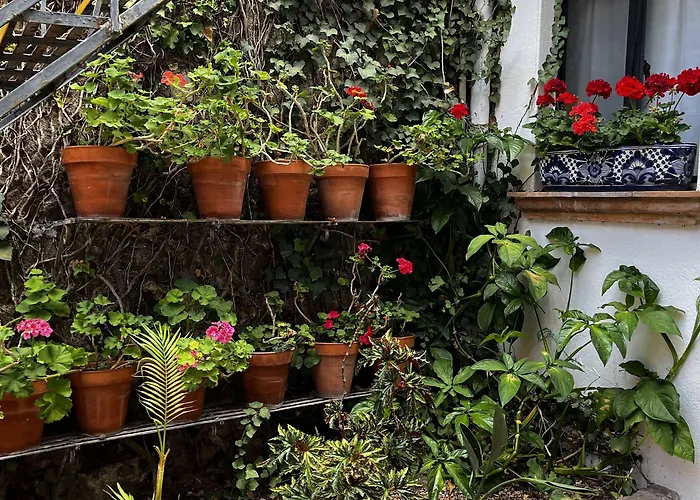 Hotel Casa Carmen