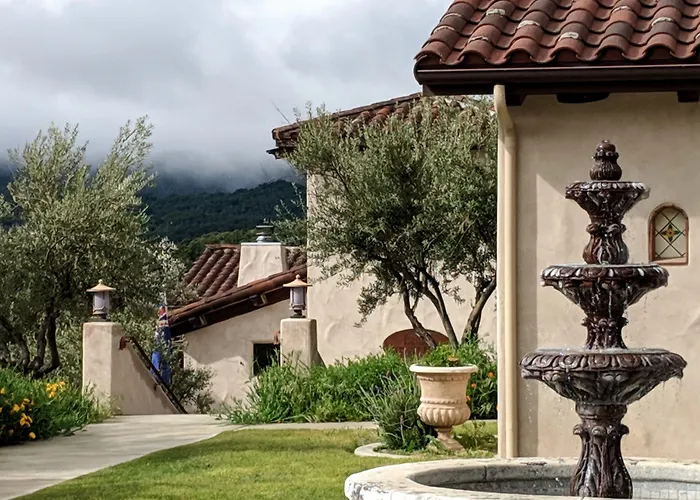 Croad Vineyards - The Inn Templeton