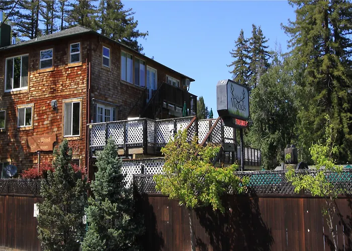 The Woods Hotel - Gay Lgbtq Cabins