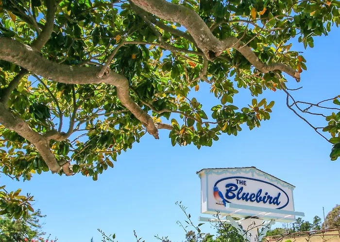 Bluebird Inn
