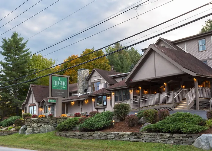 Field Guide Lodge Stowe