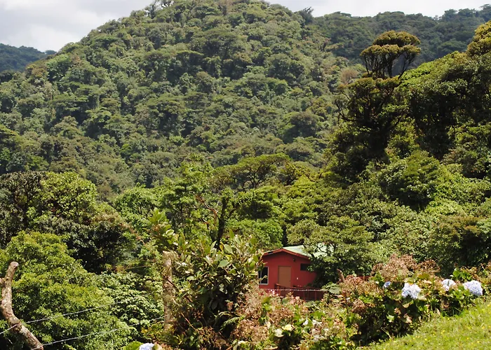 Vistaverde Lodge