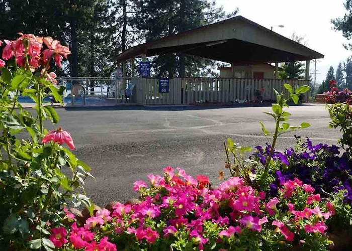 Swiss Holiday Lodge Mount Shasta