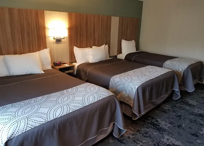 Aartpark Hotel Inn At Lewsiton