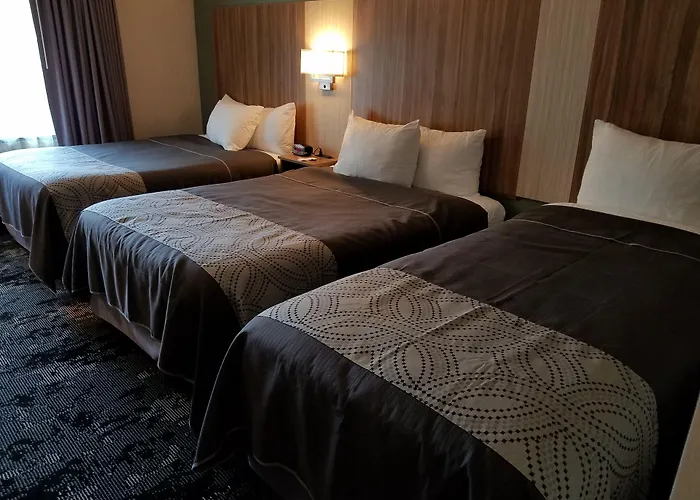 Aartpark Hotel Inn At Lewsiton