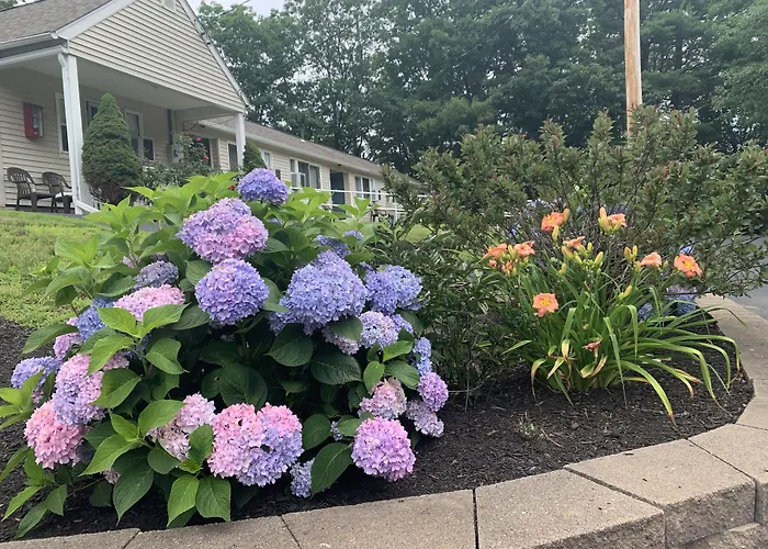 Northeaster Motel Kittery