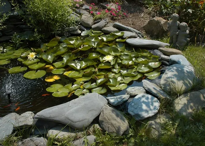 Gardenview Bed And Breakfast Newport