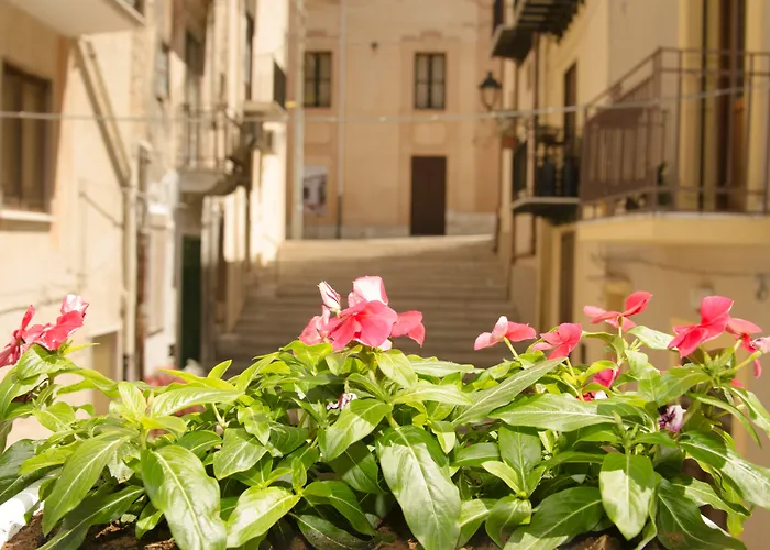 B&B Nencioli