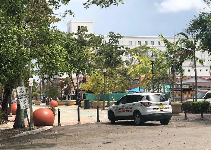 Zbunkz - Little Havana Miami