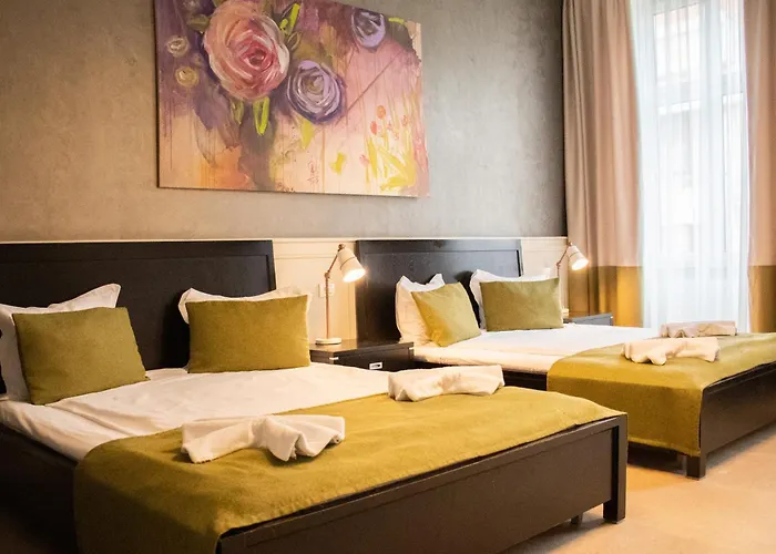 Hirscher Loft Brasov