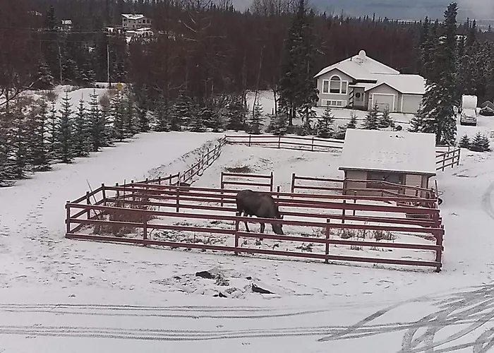 Alaska Sundance Retreat Bed & Breakfast Anchorage