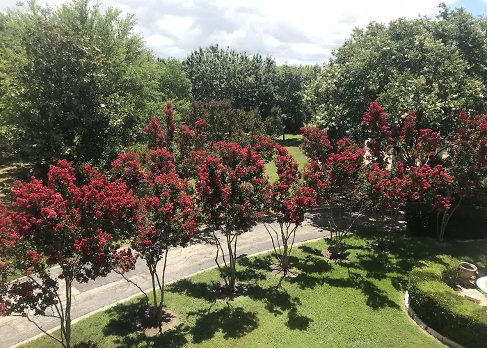 The Plantation House Boutique Inn